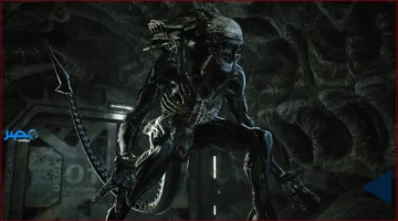 Fireteam Elite 2.. تسريب ظهور اللعبة غير المُعلنة على موقع التصنيف العمري ESRB